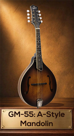 Gold Tone GM-55 A-Style mandolin with solid spruce top, curly maple body, pickup, and case