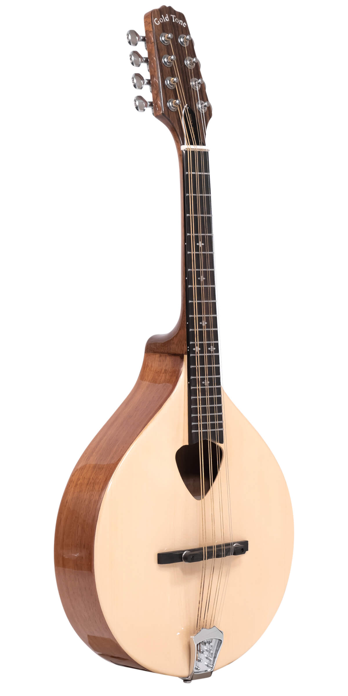 Irish Musical Instruments  Traditional Irish Music - Twinkl