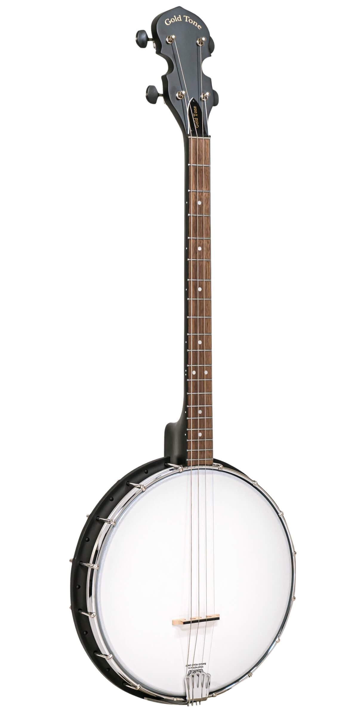 Banjo Instrument